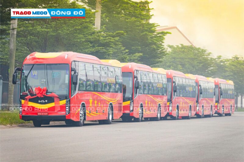 XE TRACOMECO KIA GRANBIRD 34 PHÒNG HYUNDAI 425PS - Ảnh 3